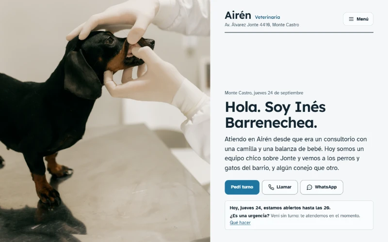 La página de Veterinaria Airén, tal como se ve al abrirla